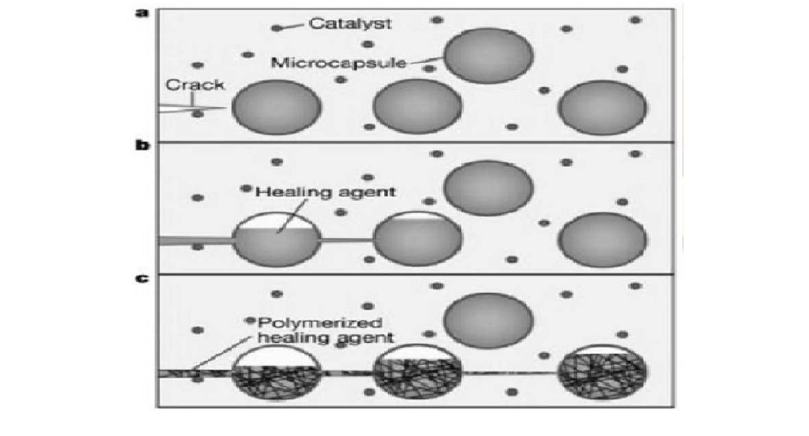 Bacterial Self Healing Concrete – Mastercivilengineer